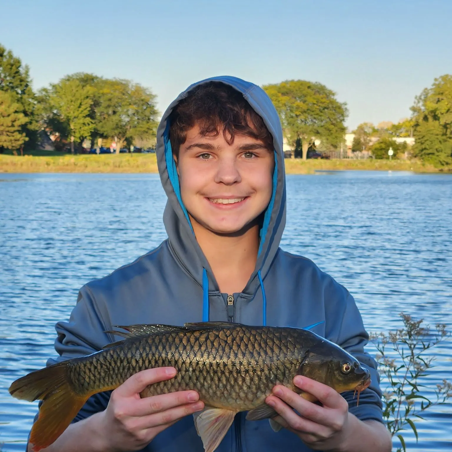 Common carp caught on Fishbrain