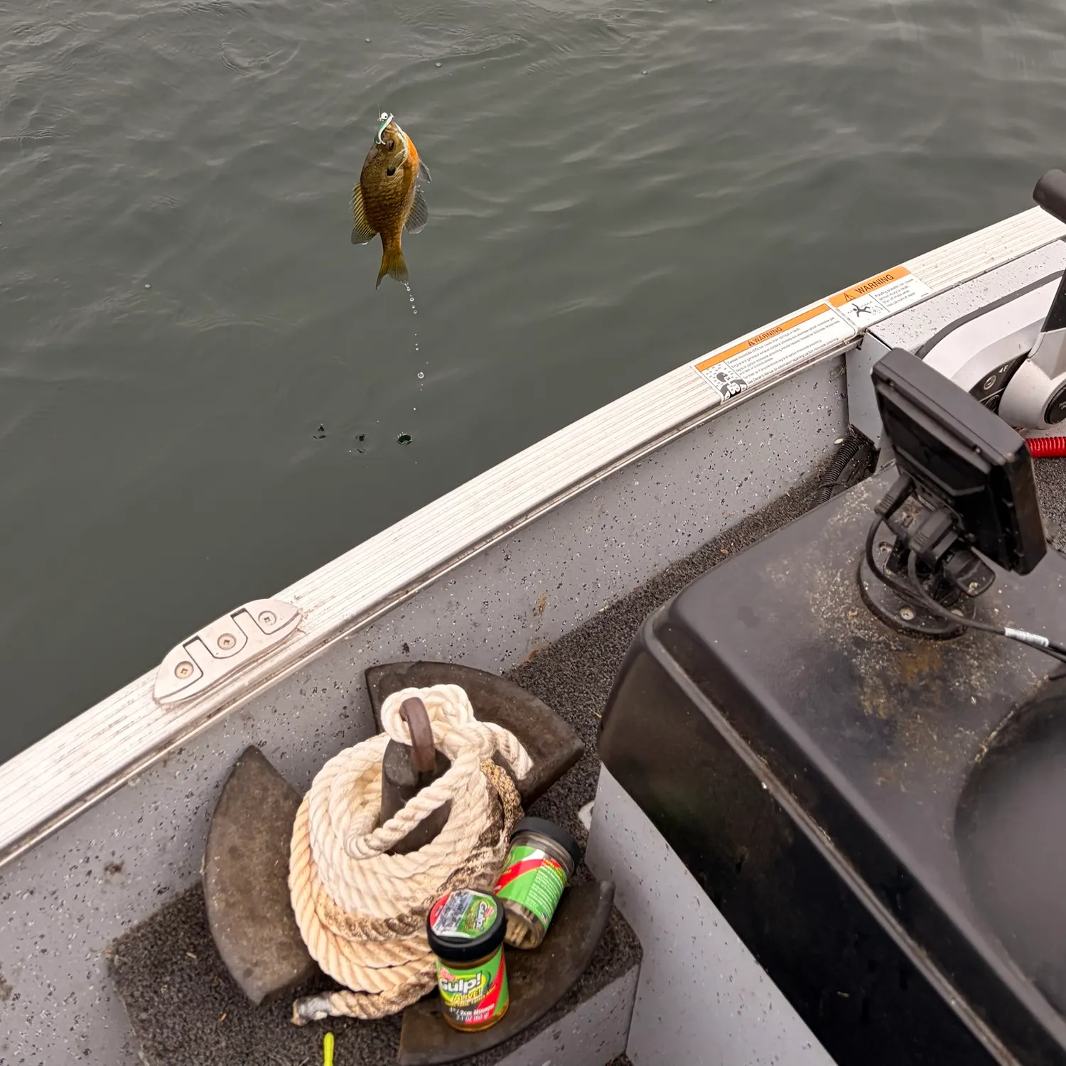 Fish caught on Fishbrain