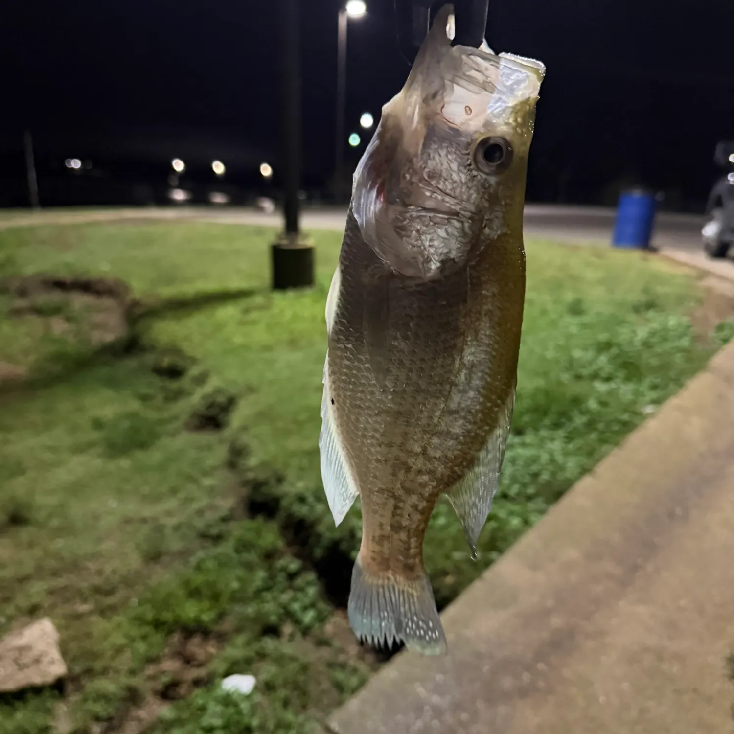 catch