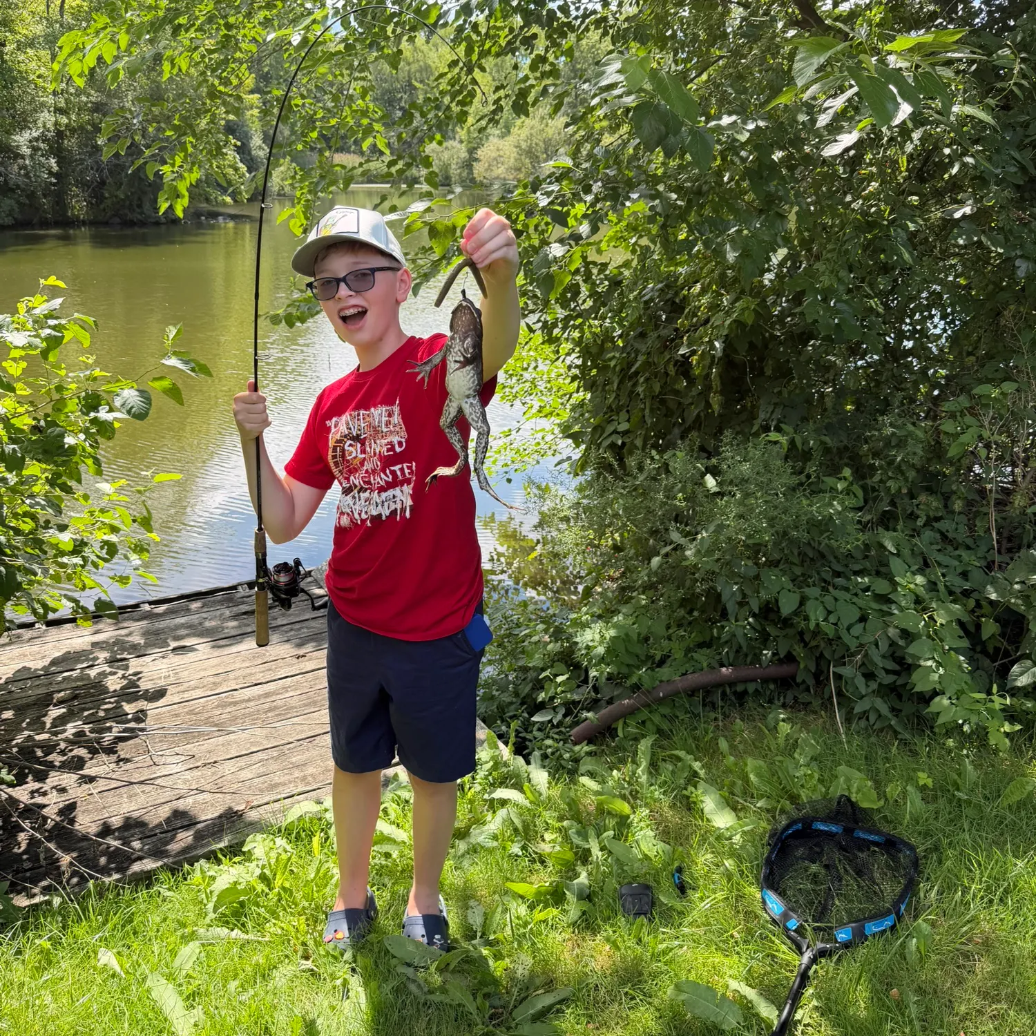 American bullfrog caught on Fishbrain