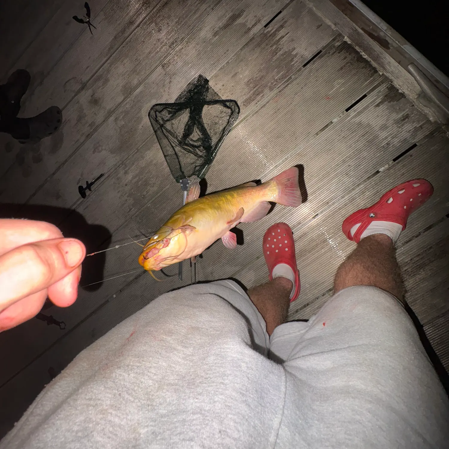 catch