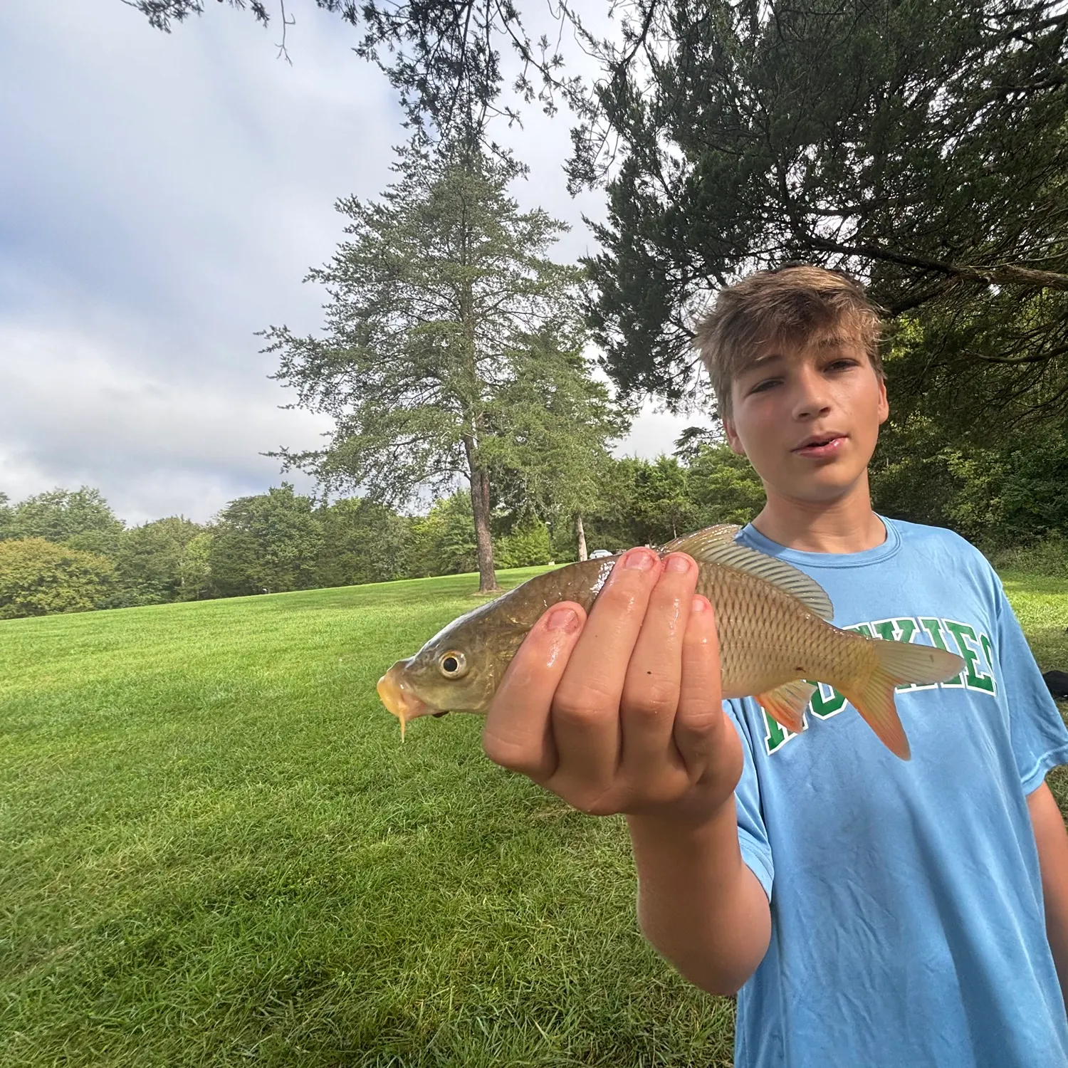 Common carp caught on Fishbrain