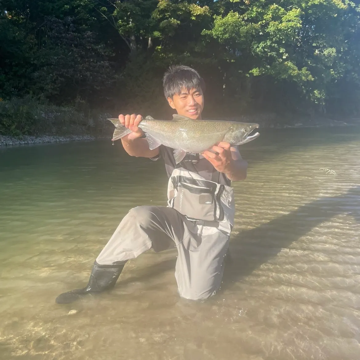 Coho salmon caught on Fishbrain