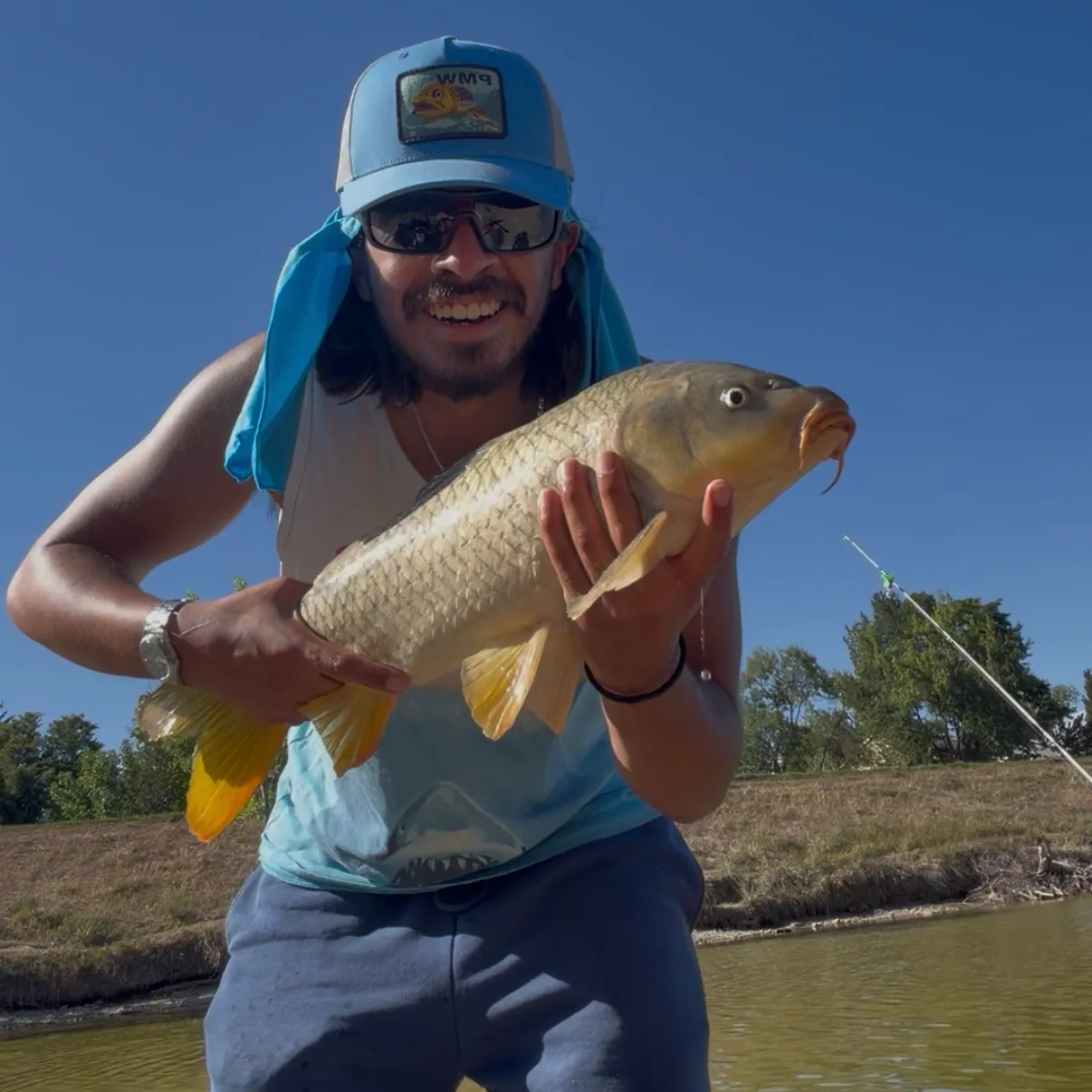 Common carp caught on Fishbrain