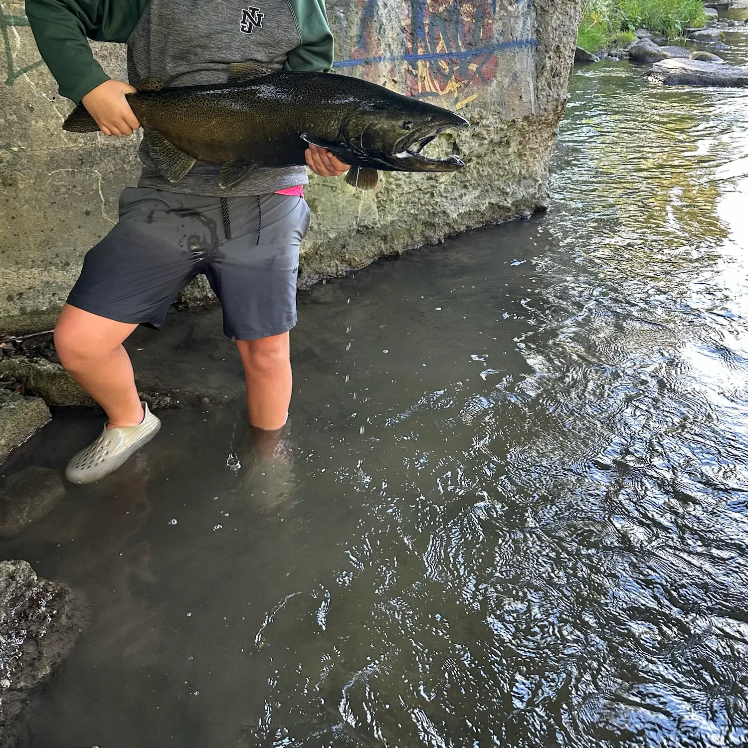 Chinook salmon caught on Fishbrain