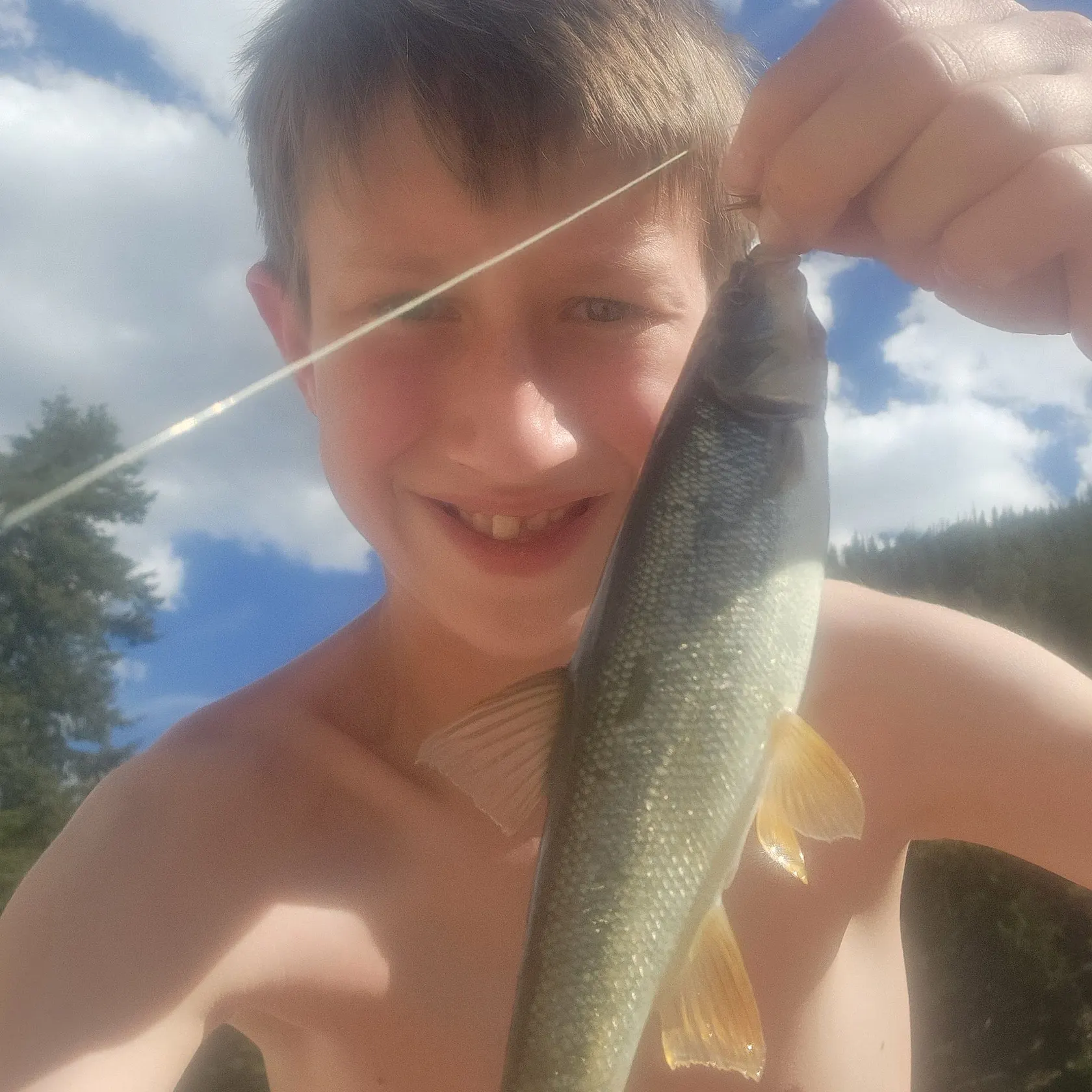 Northern pikeminnow caught on Fishbrain