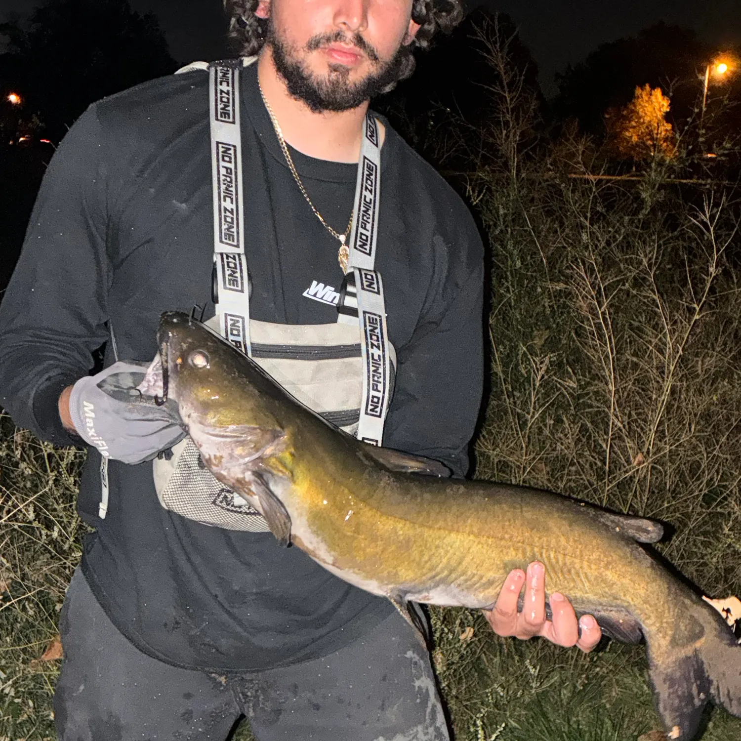 Channel catfish caught on Fishbrain