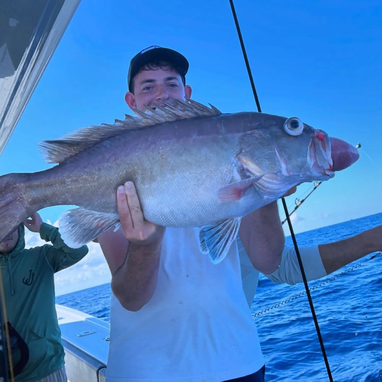 The most popular recent Snowy grouper catch on Fishbrain