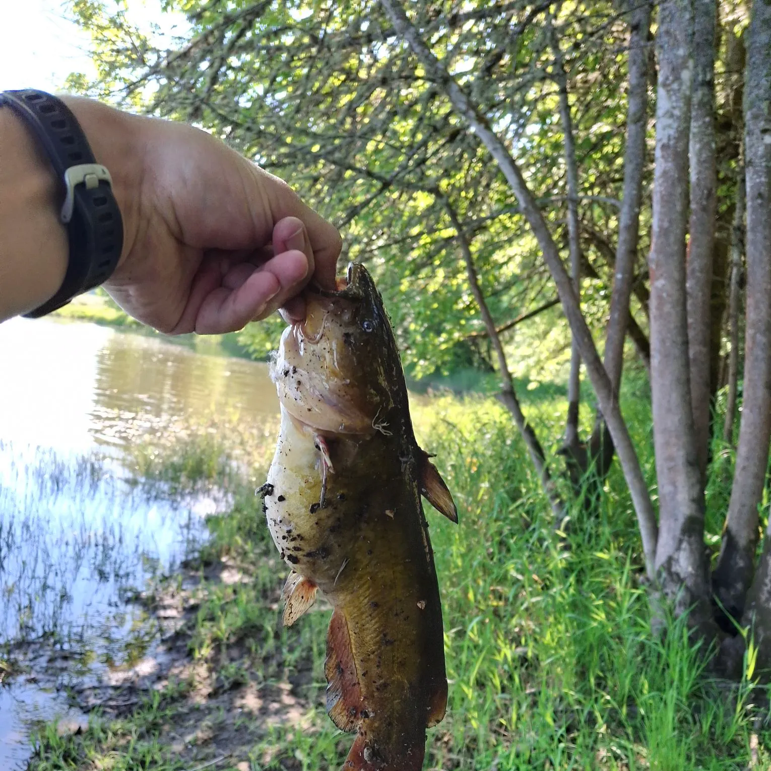 catch