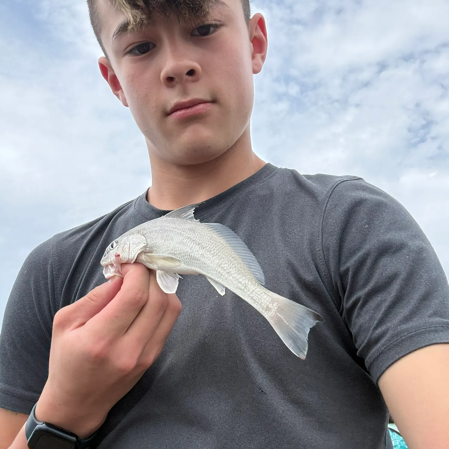 The most recent Steeplined drum catches on Fishbrain
