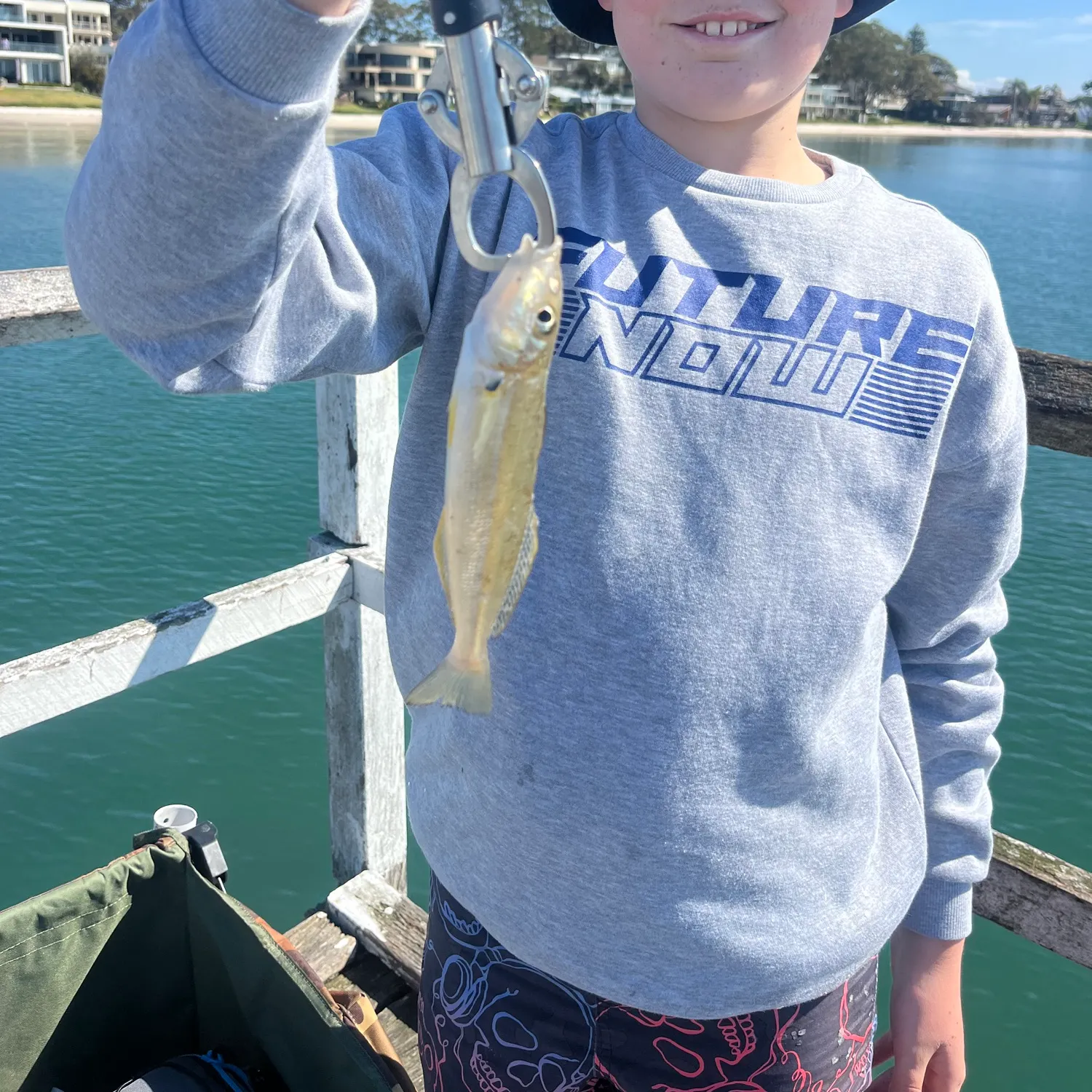 Sand sillago caught on Fishbrain