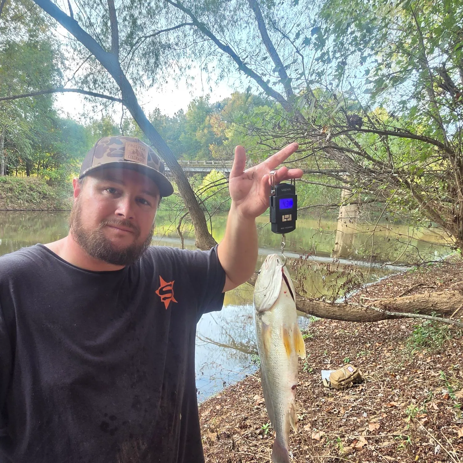 Freshwater drum caught on Fishbrain