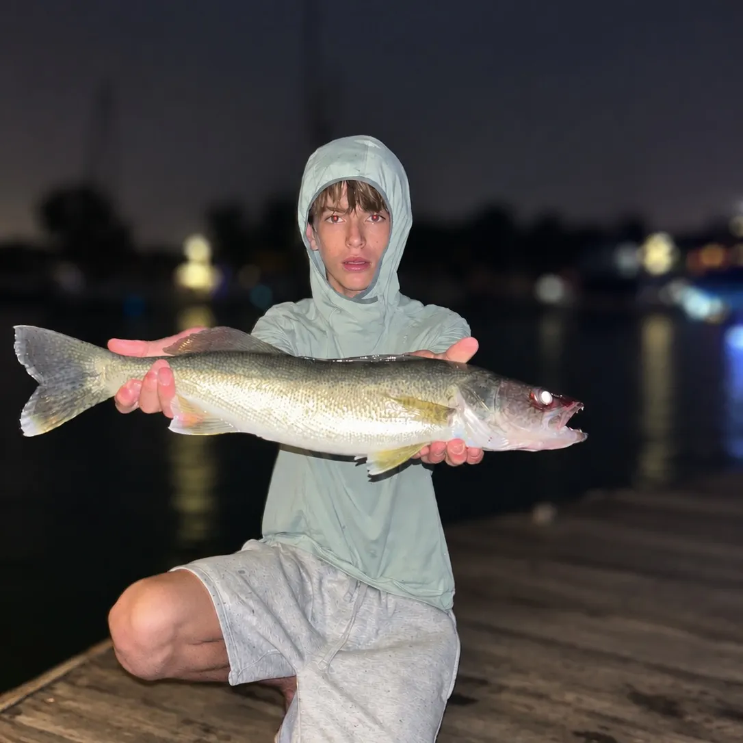 Walleye caught on Fishbrain