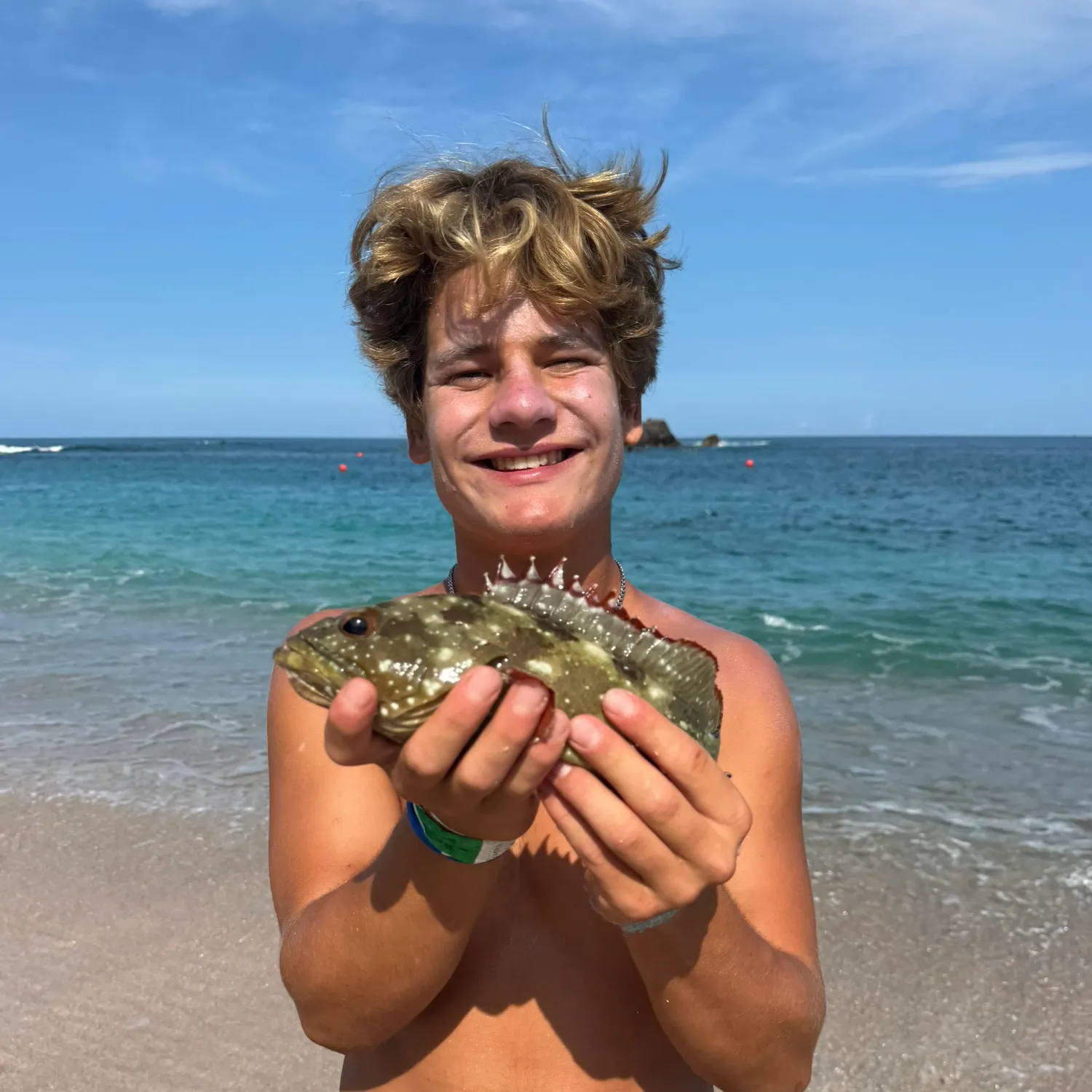 The most recent Starry grouper catches on Fishbrain