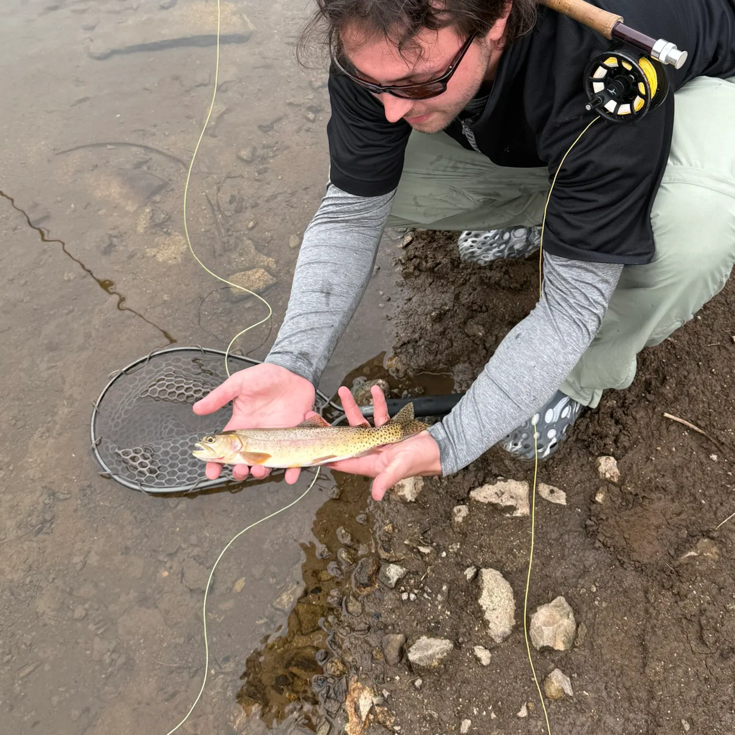 Cutthroat trout caught on Fishbrain