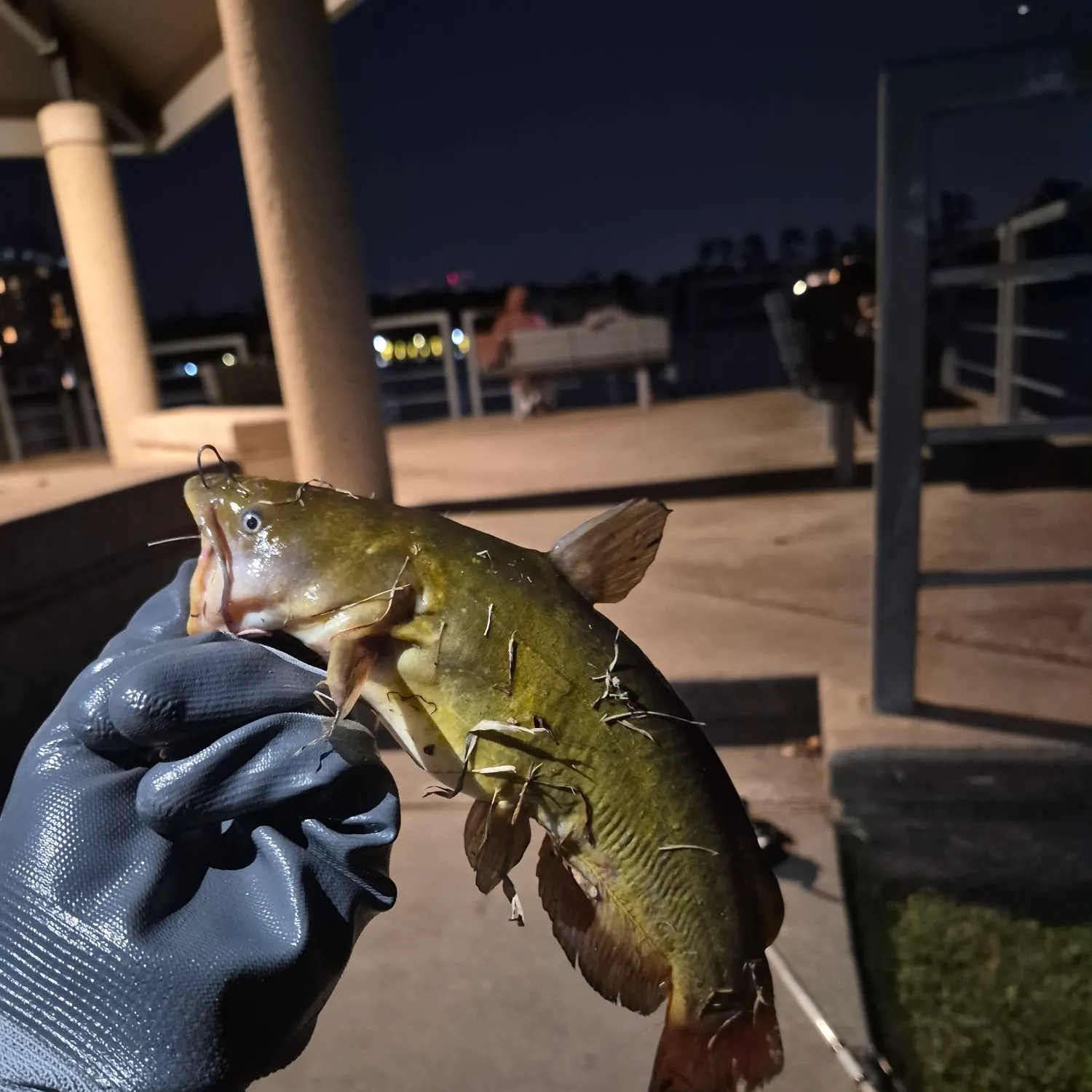 catch