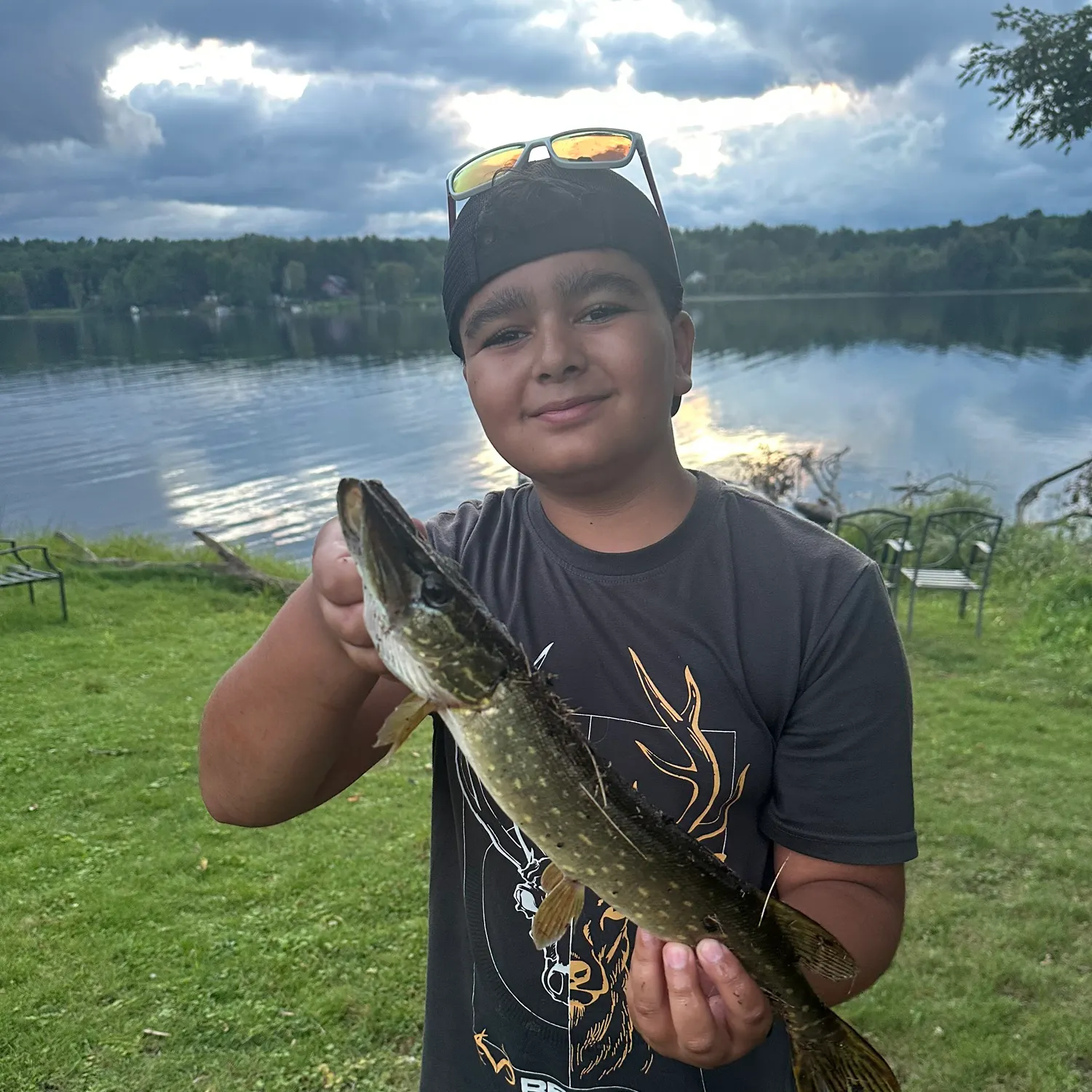 Northern pike caught on Fishbrain