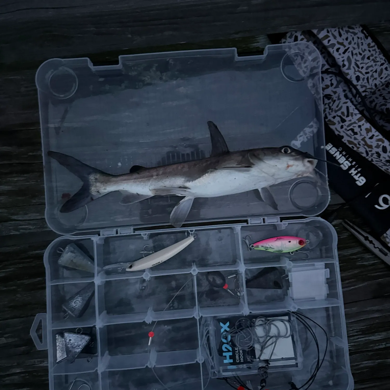 catch