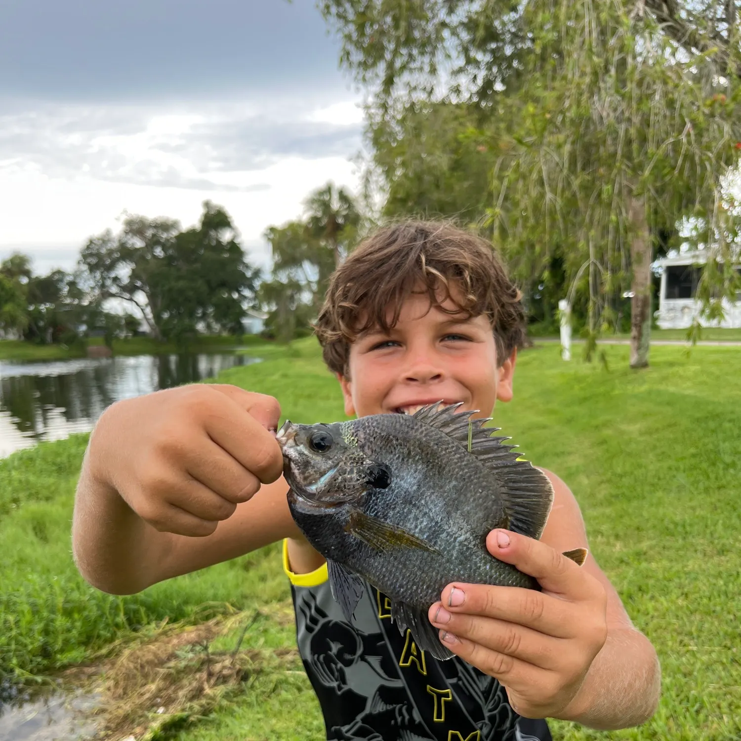 Bluegill caught on Fishbrain