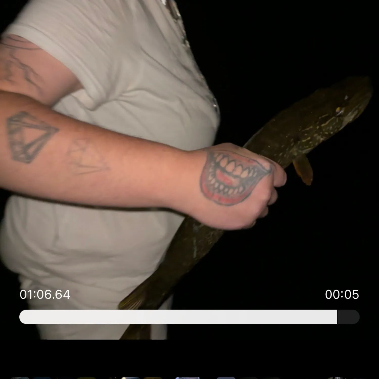 recently logged catches