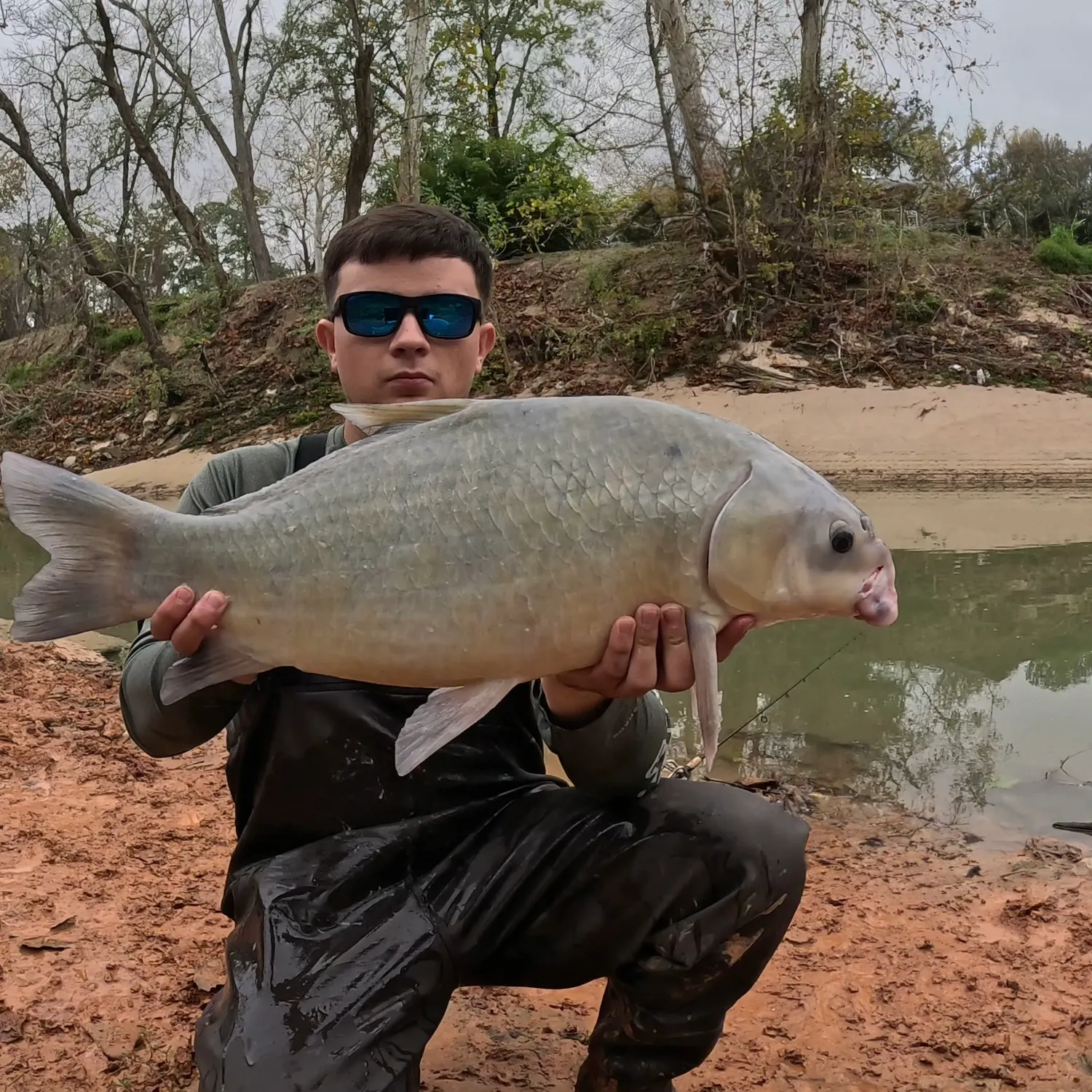 The most recent Smallmouth buffalo catches on Fishbrain