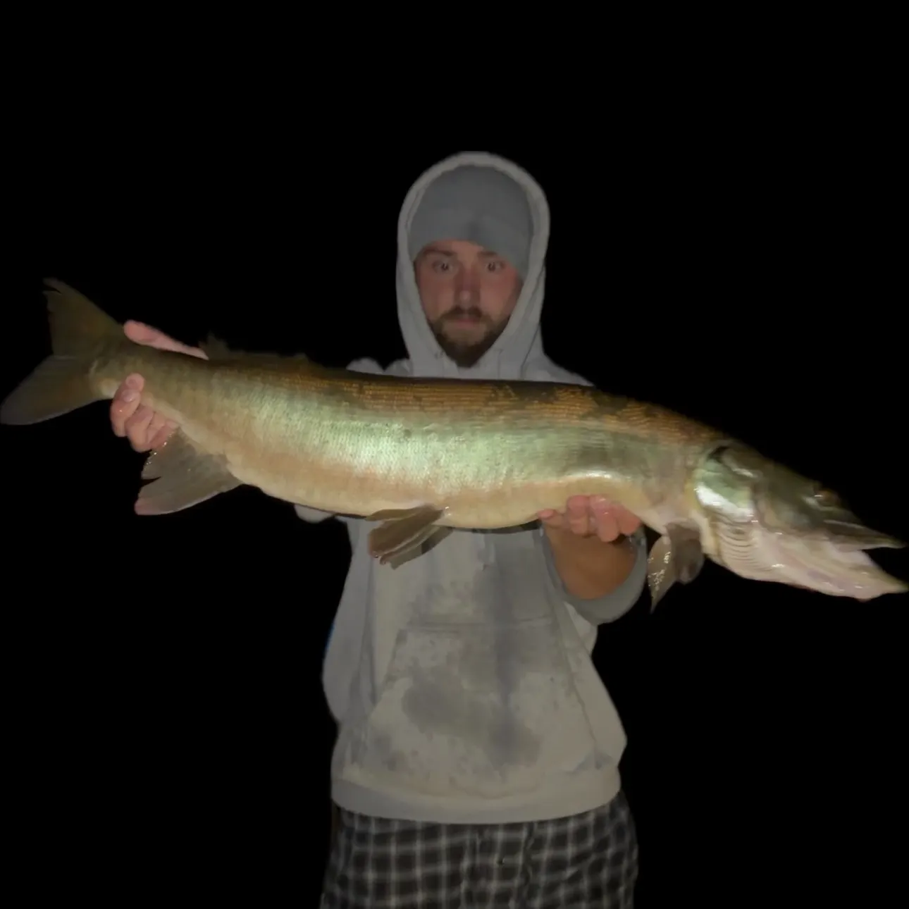 The most recent Muskie catches on Fishbrain