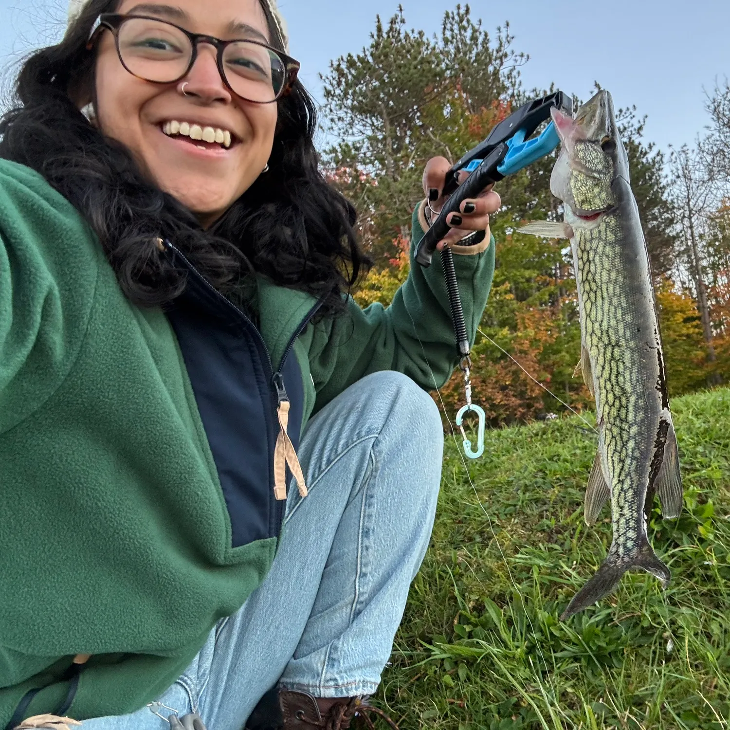 Chain pickerel caught on Fishbrain