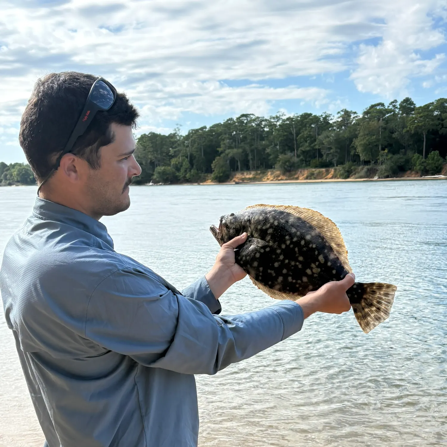 Summer flounder caught on Fishbrain