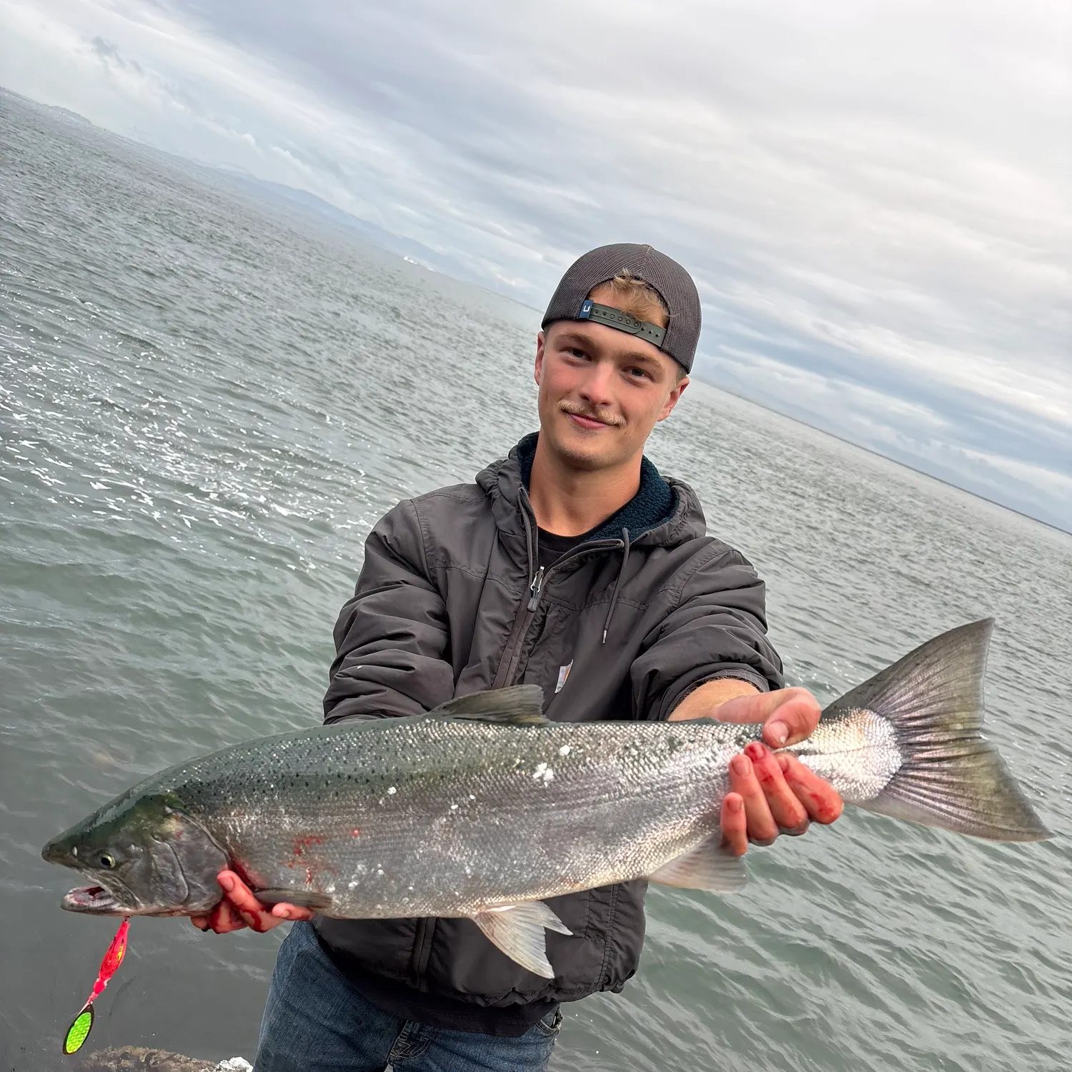 Coho salmon caught on Fishbrain