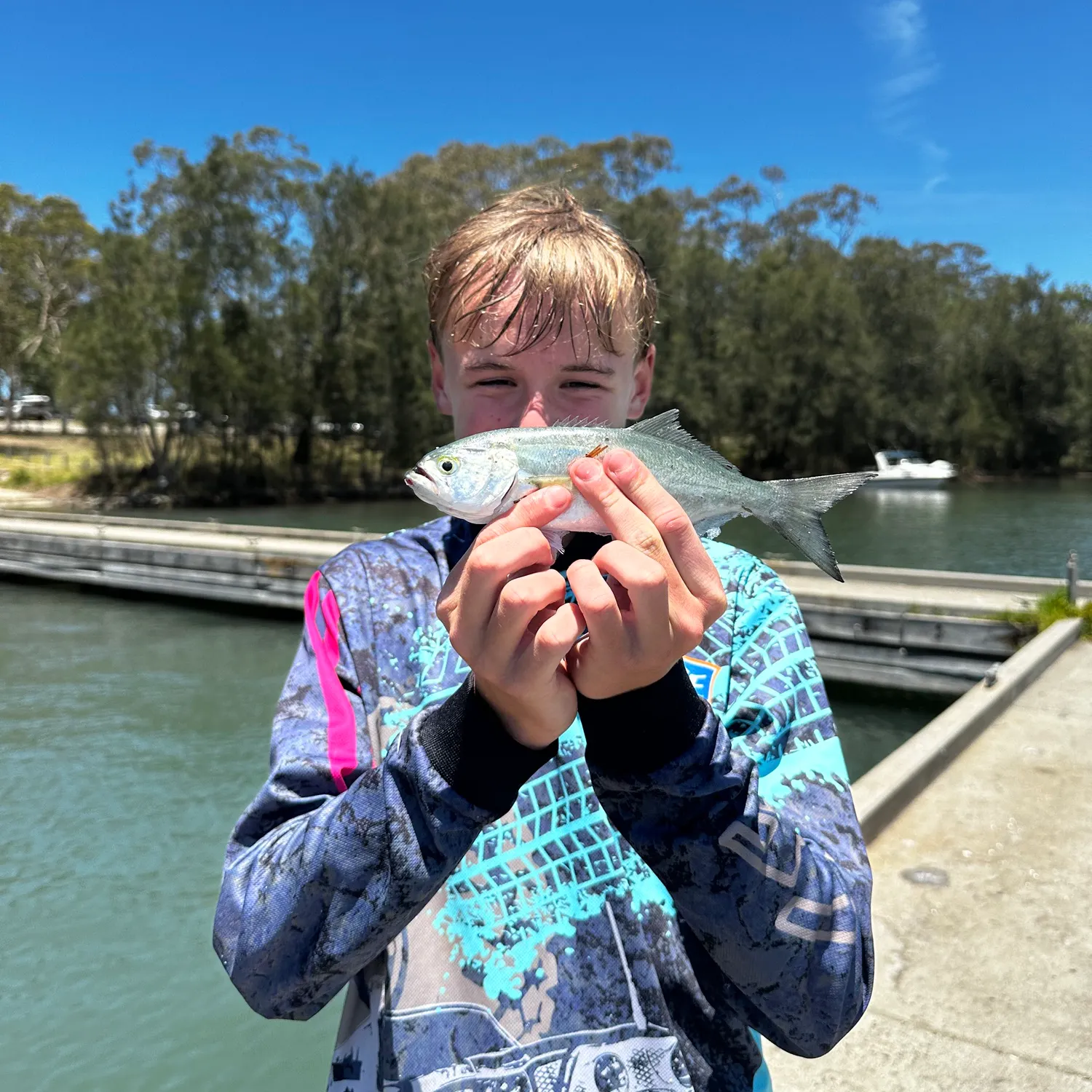 The most recent Bluefish catches on Fishbrain