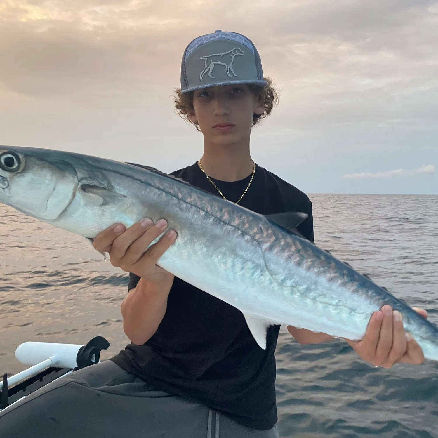 most liked catch image