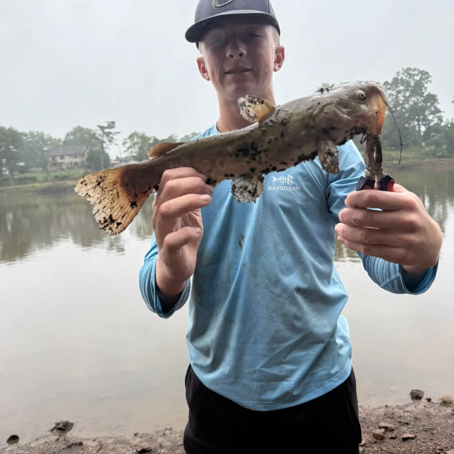 Yellow bullhead caught on Fishbrain
