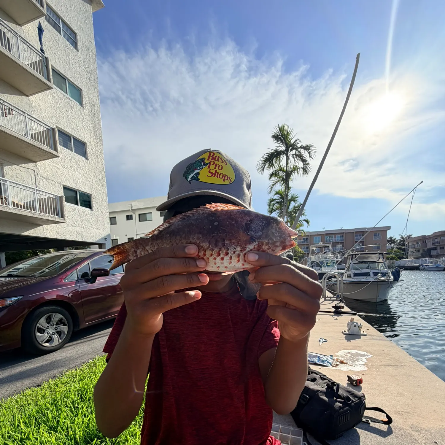 The most recent Redtail parrotfish catches on Fishbrain