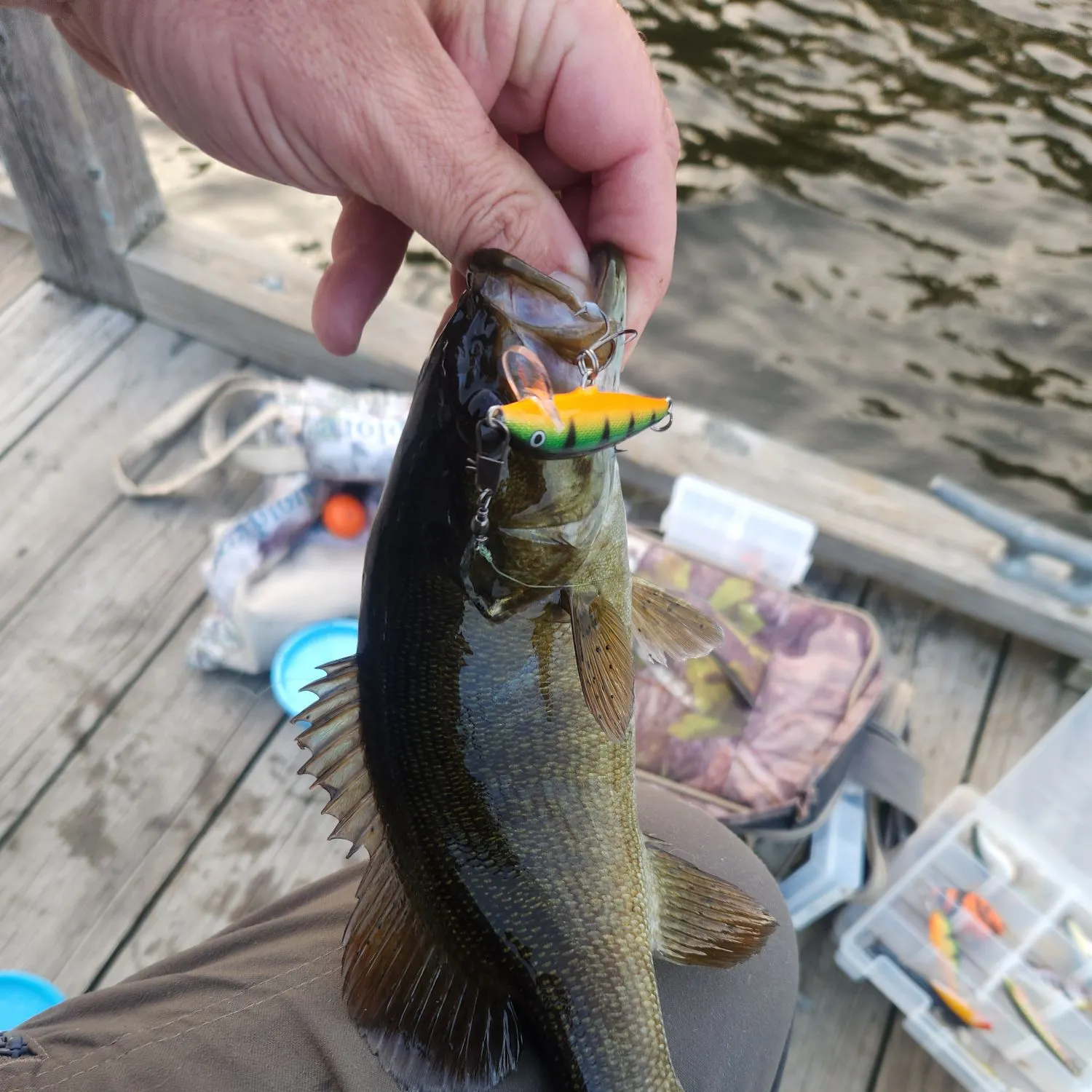 Smallmouth bass caught on Fishbrain