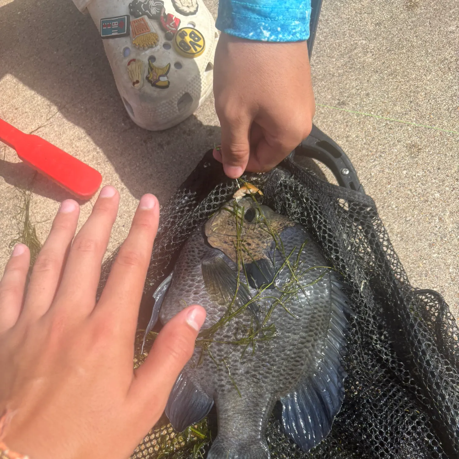 catch