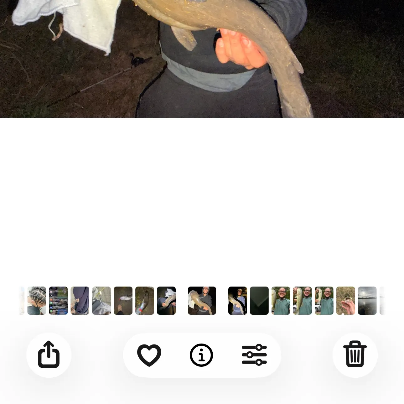 Channel catfish caught on Fishbrain