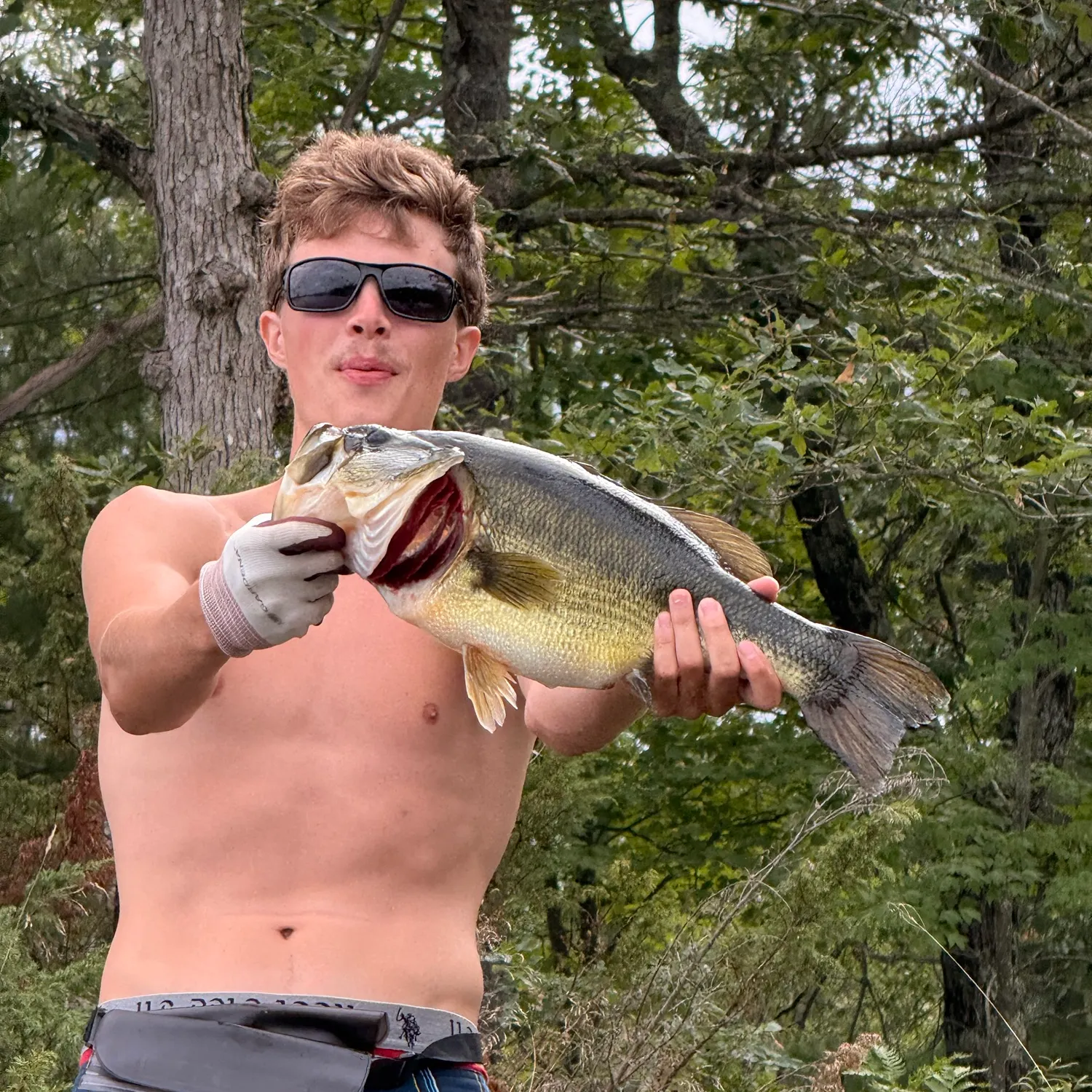 Largemouth bass caught on Fishbrain