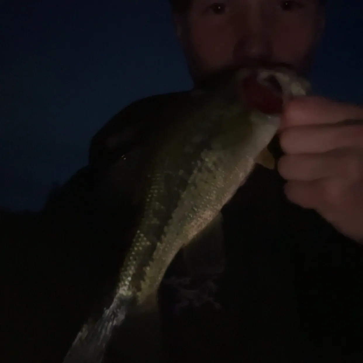 Fish caught on Fishbrain