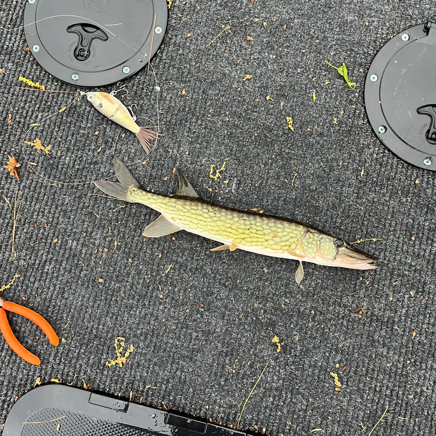 catch