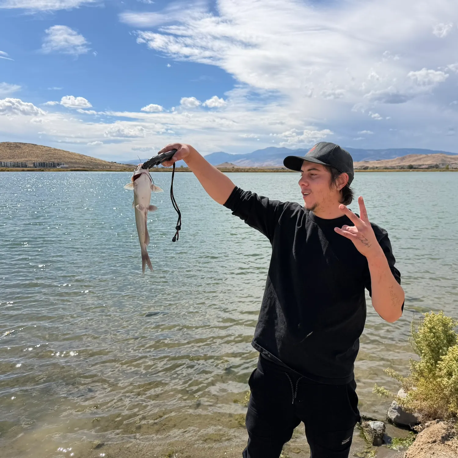 Channel catfish caught on Fishbrain