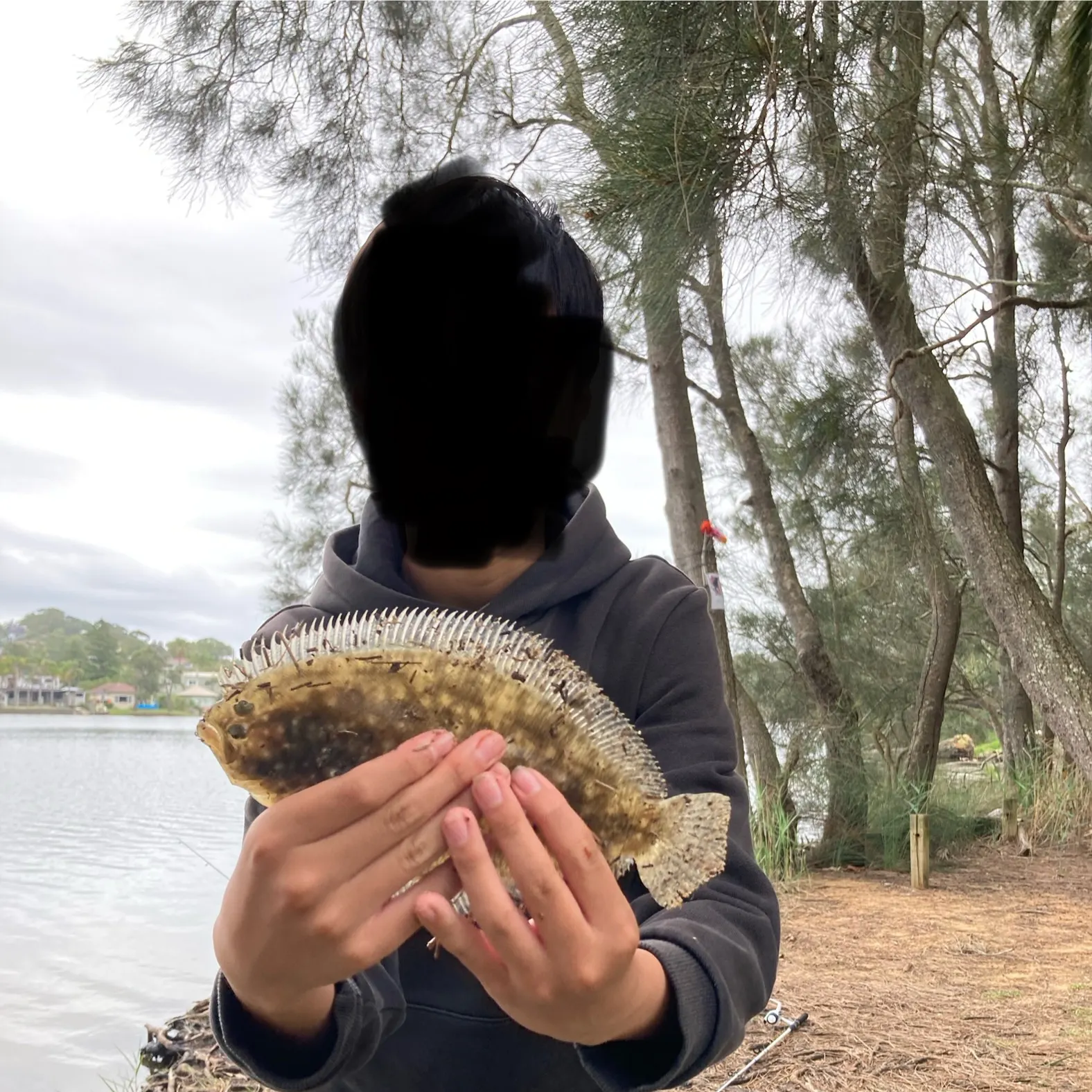 The most recent Stone Flounder catches on Fishbrain