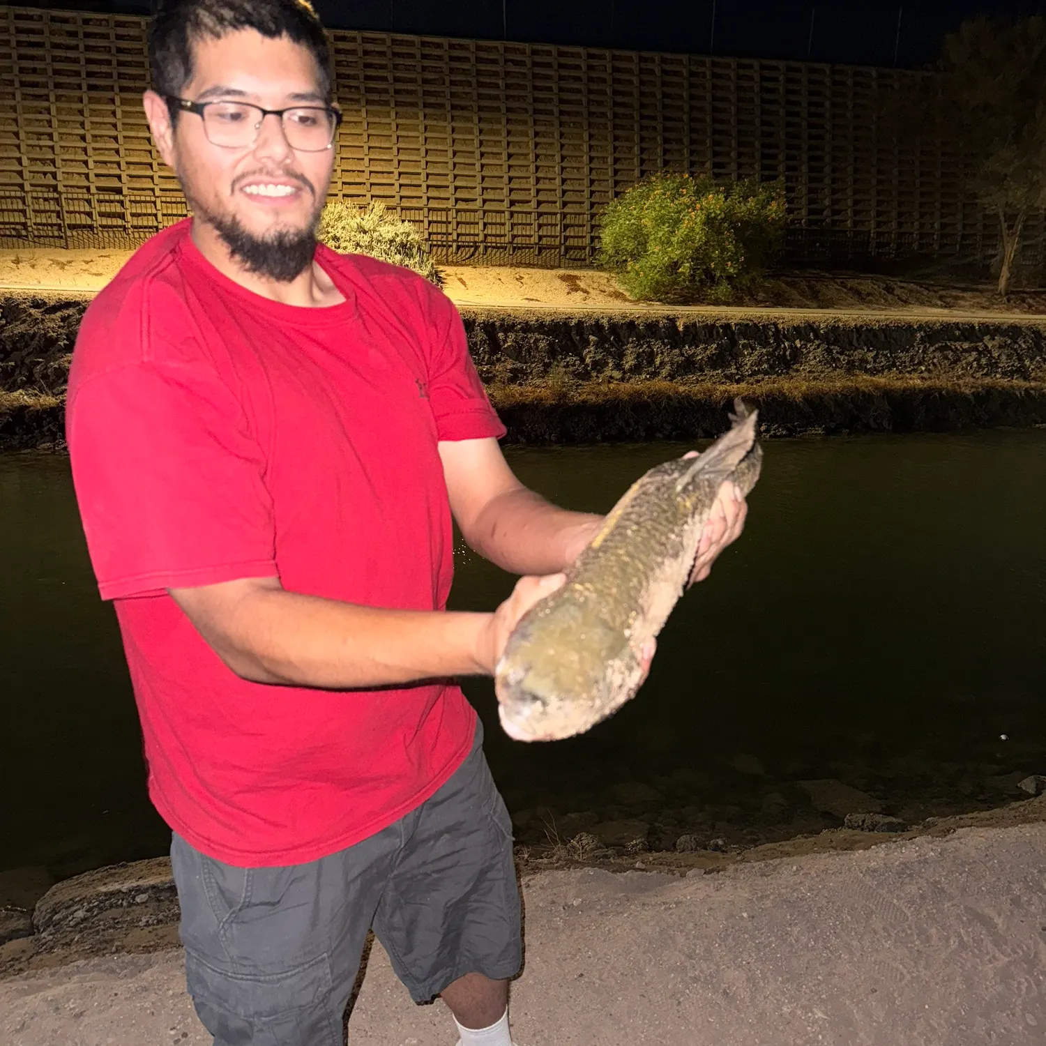 Fish caught on Fishbrain