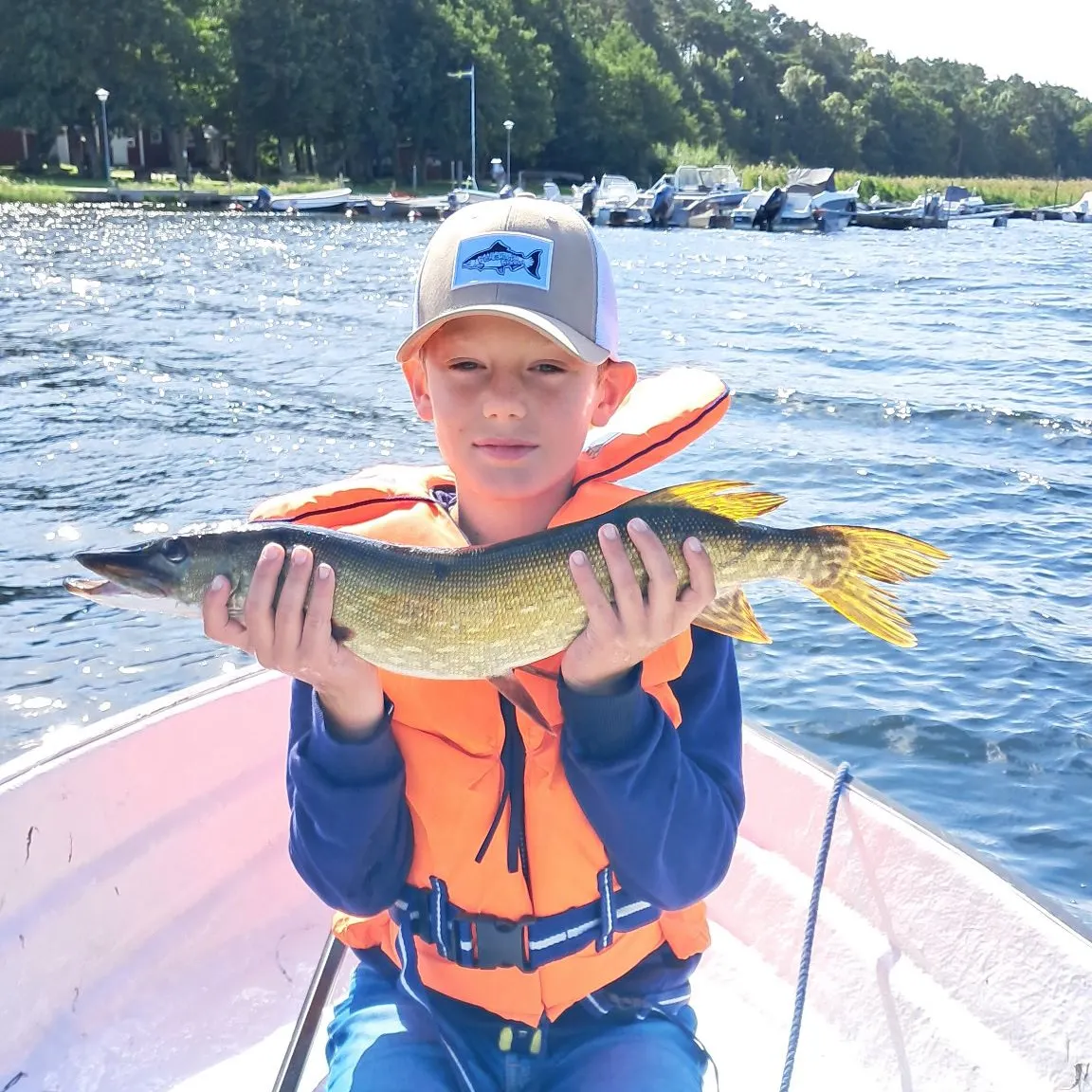 Northern pike caught on Fishbrain