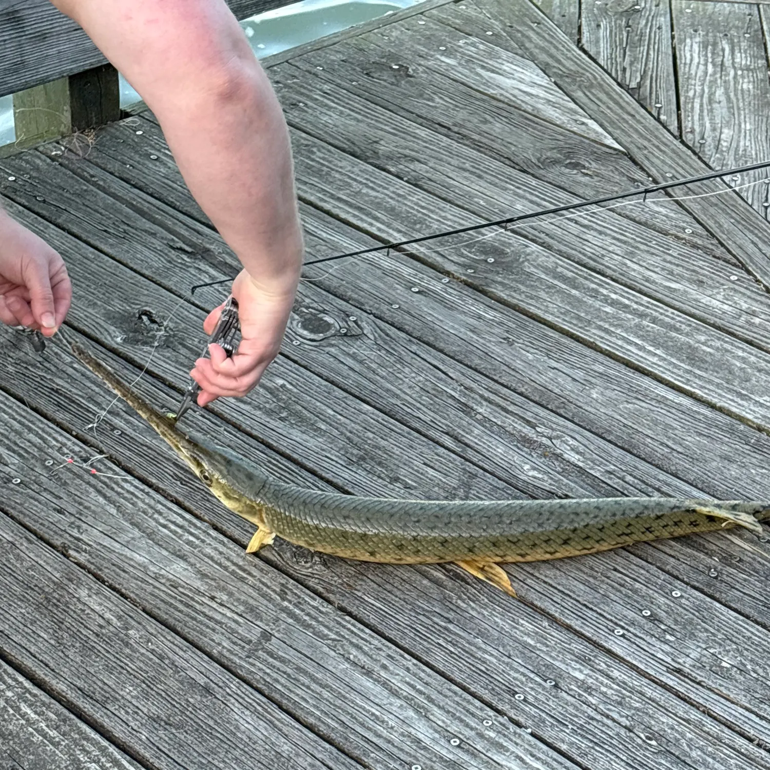 catch