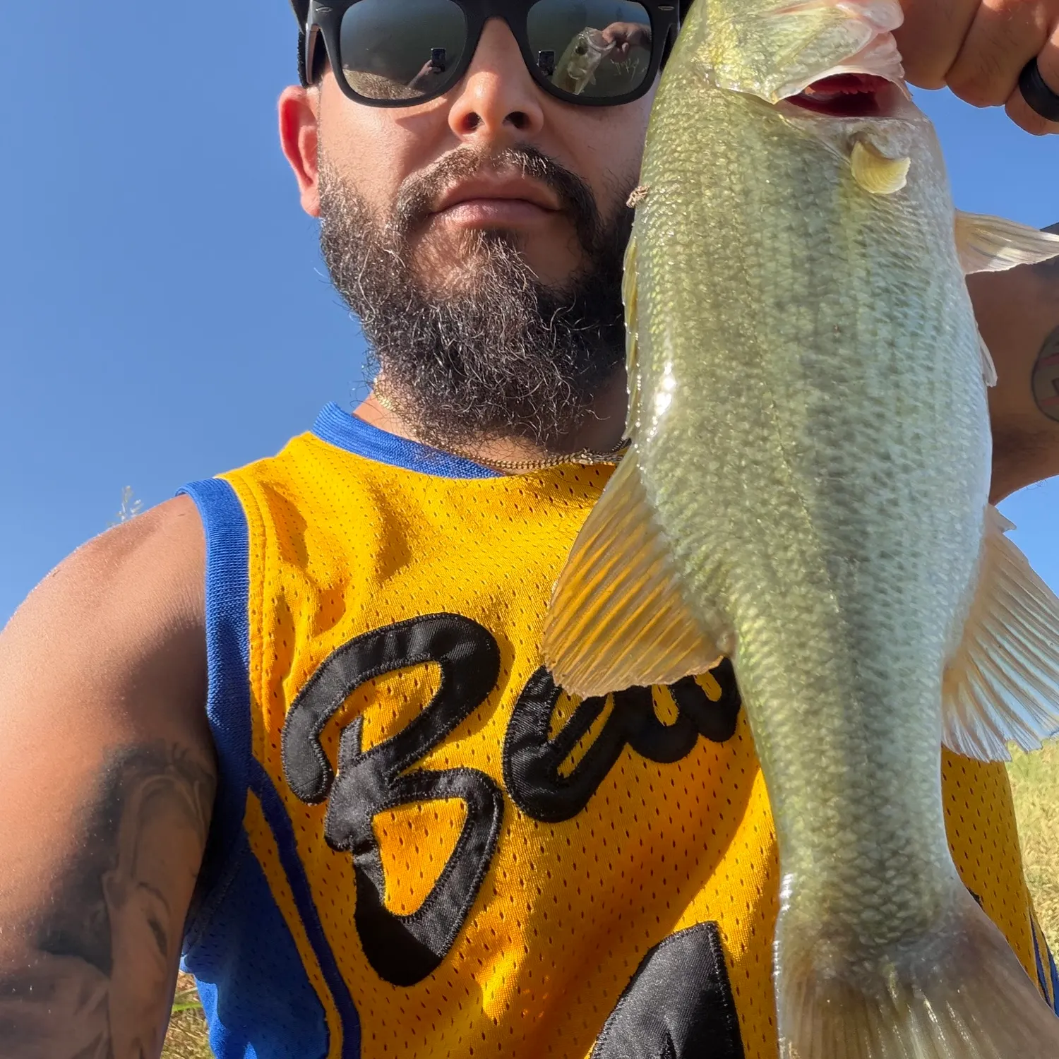 Largemouth bass caught on Fishbrain