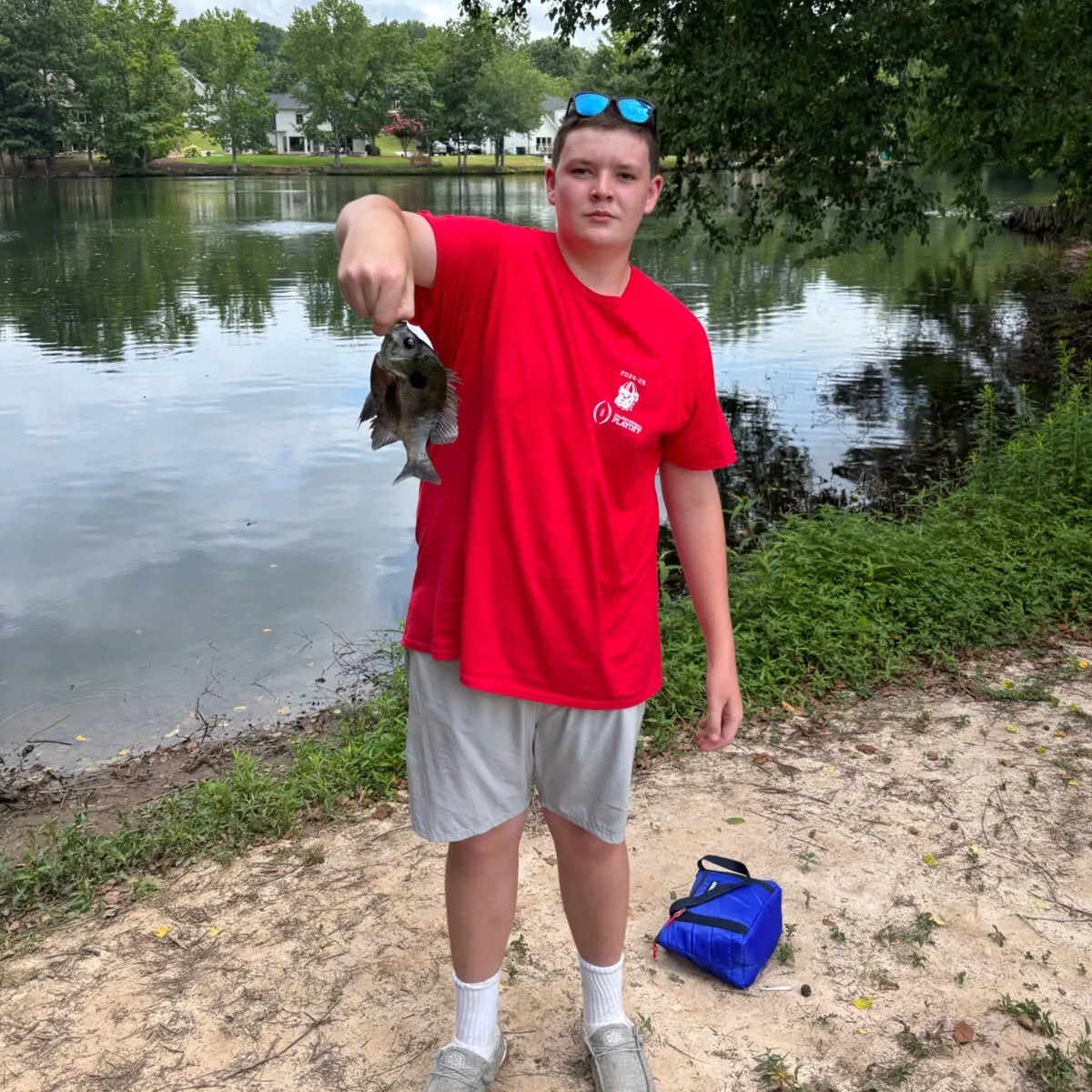 The most recent Bluegill catches on Fishbrain