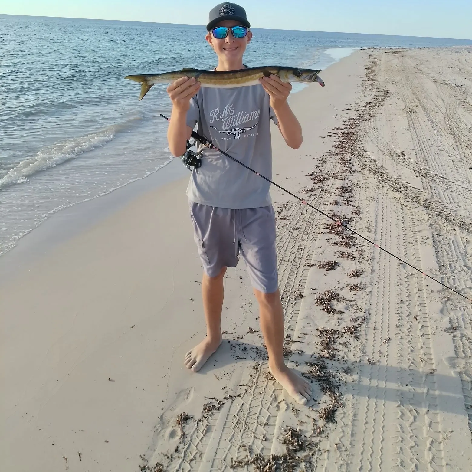 The most recent Australian barracuda catches on Fishbrain