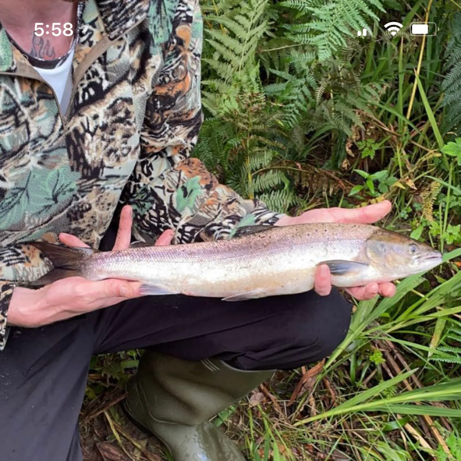 recently logged catches