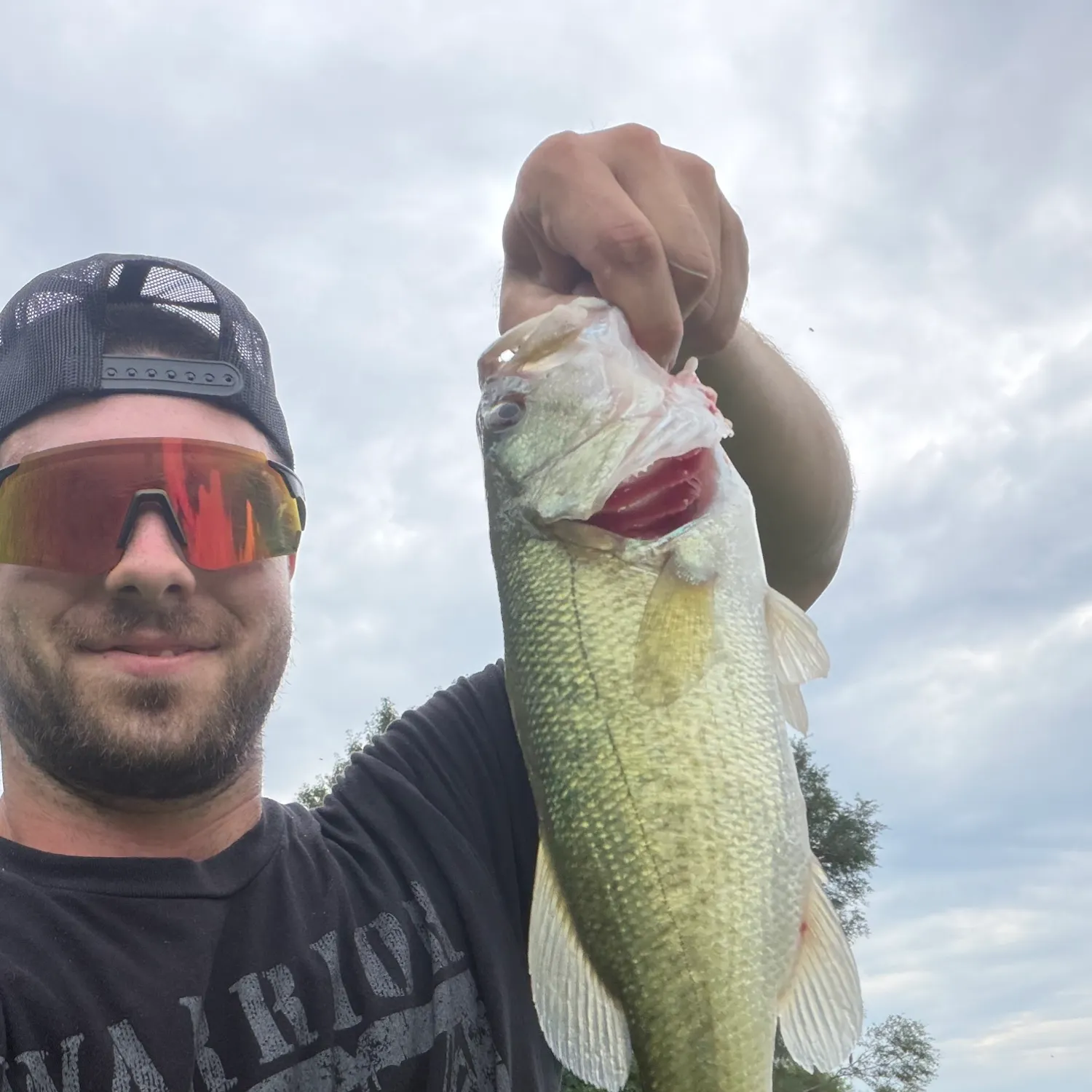 Largemouth bass caught on Fishbrain