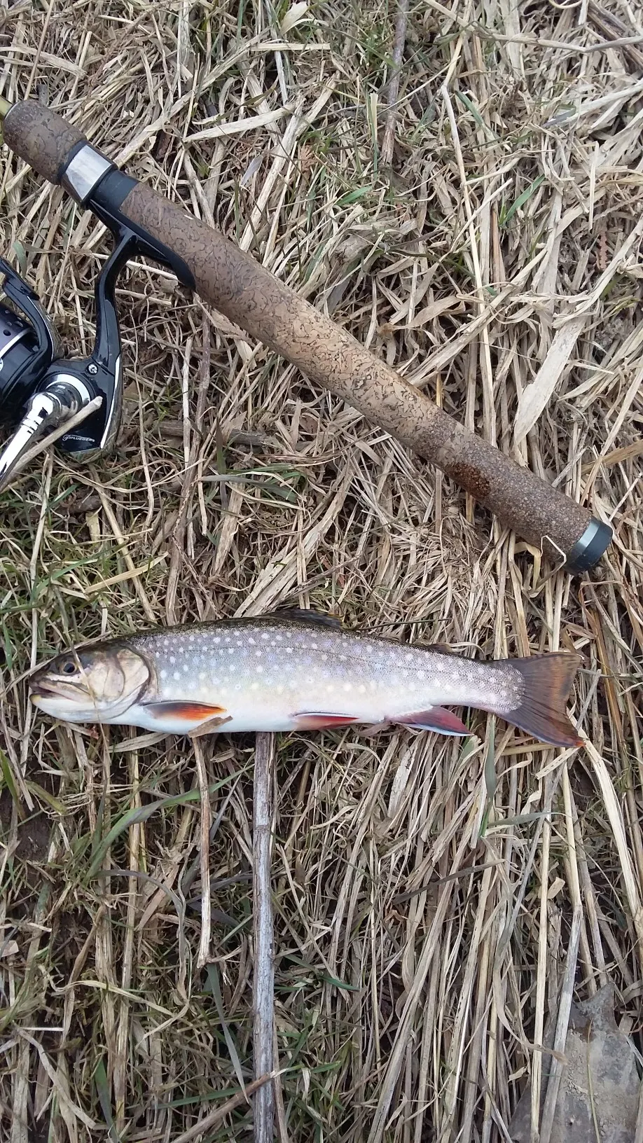 Post image from _WiscoFishing_